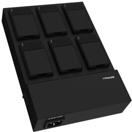 Cargador de baterías 6 slots