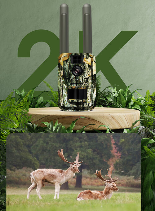 Camara de Grabacion exterior con panel solar y 4 G