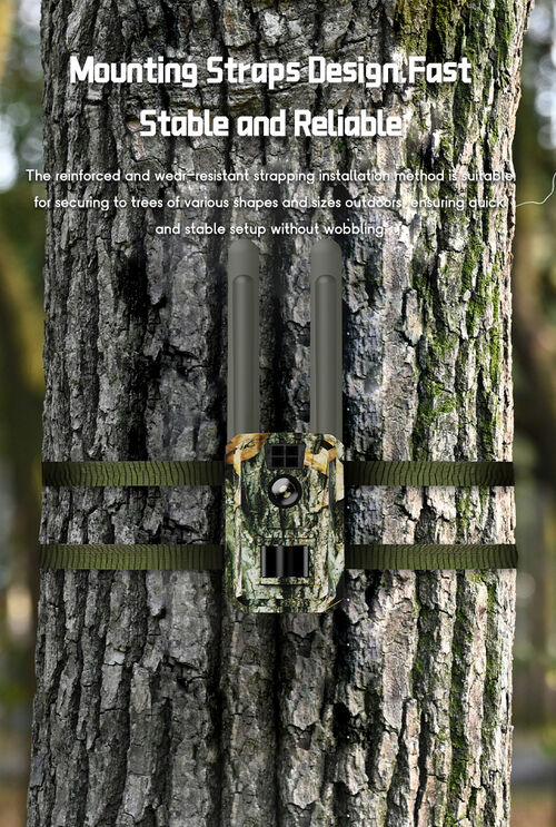 Camara de Grabacion exterior con panel solar y 4 G