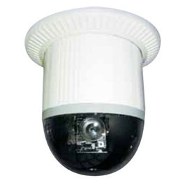 Cámara Speed Dome color IP D&N para uso en interior